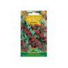 Spanac de căpșuni
