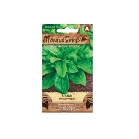 Pinaatti Winterriesen