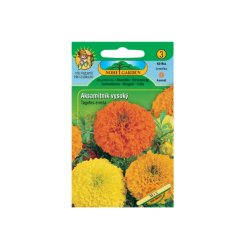 Studentenblume aufrecht hoch Mix