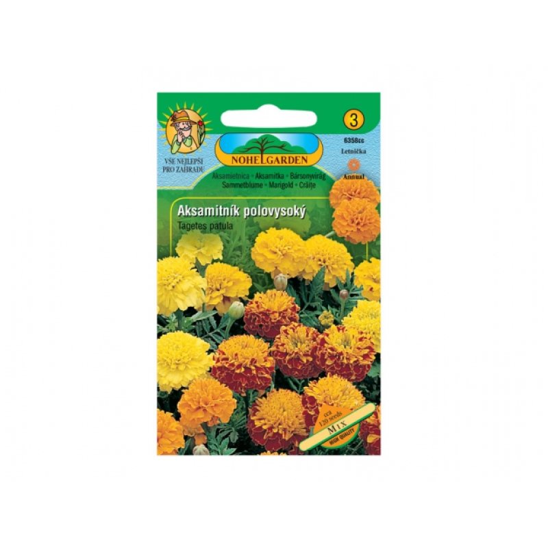 Studentenblume gekreuzt halbhoch Mix