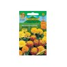 Tagetes hybride mi-haut Mix