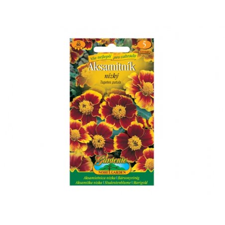 Tagetes patula – Garofano d'India marrone-giallo