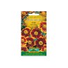 Tagetes patula – Garofano d'India marrone-giallo