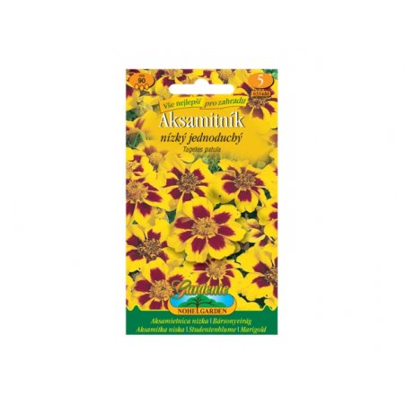 Kadifica niska