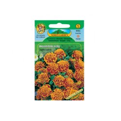 Tagetes patula nain Orange - Brown