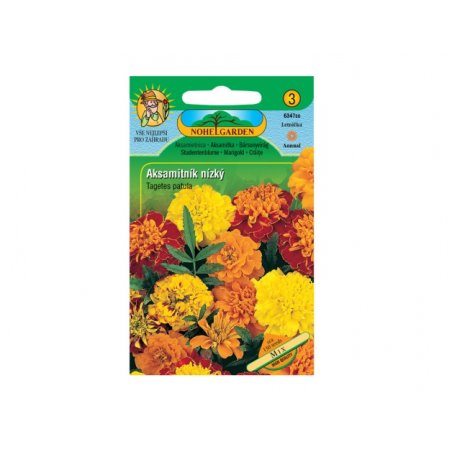 Tagetes patula pitic Mix