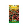 Tagete francese - tagetes tenuifolia