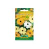 Czarnooka Zuzanna - mix (Thunbergia alata)
