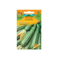 Zucchini-Kürbis Tapir