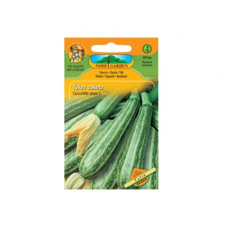 Courge courgette Tapir