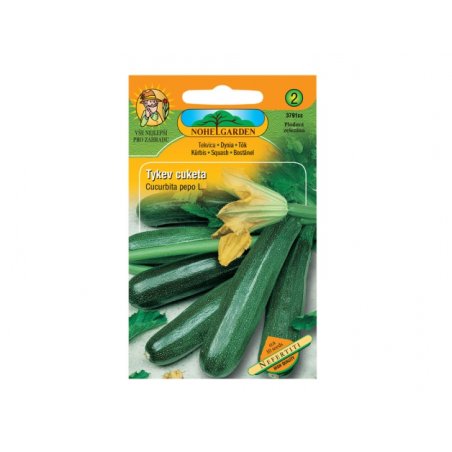 Kesäkurpitsa - Nefertiti