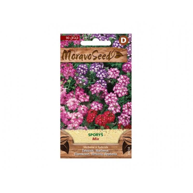 Verveine - mix (Verbena x hybrida)