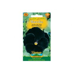 Viola del pensiero semplice - nera