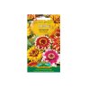 Zinnia a fiore di dalia - Caroussel