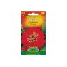 Zinnia elegans a fiore di dalia, rossa