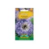 Zinnia elegans dahliablommig - lila