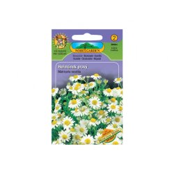 Kamomilla