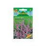 Semillas de Statice de Suworow para secar, rosa