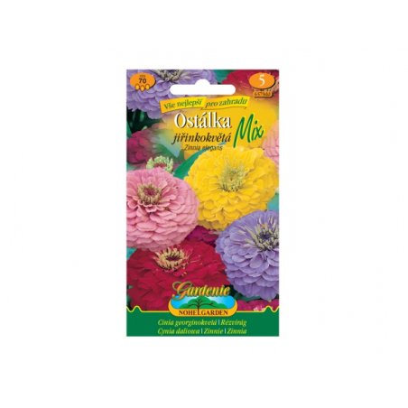 Semillas de Zinnia elegante de flor de dalia, mezcla
