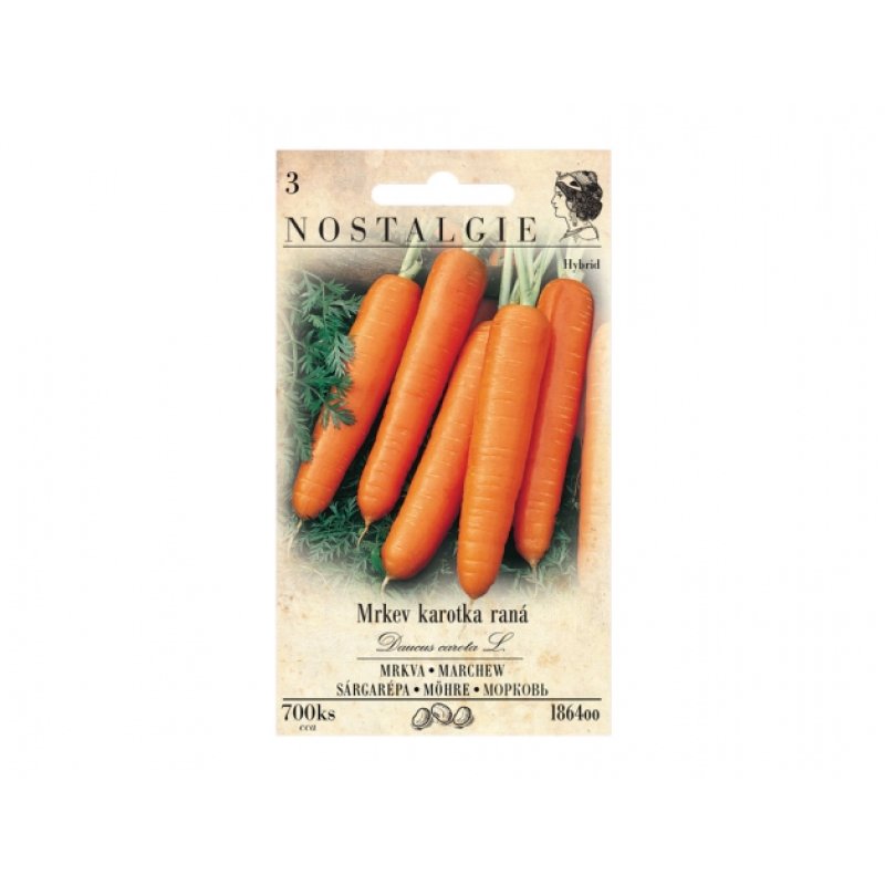Semences Carotte précoce KATOP F1 - hybride