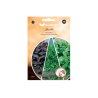 Disque de semis BASILIC rouge, vert, nain 3pcs