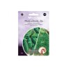 Aussaatband Gurke Einlegegurke ALOE 2x, Dill OLIVER 2x2m