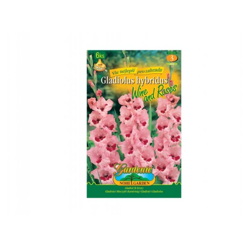 Gladiolus WINE ROSES 6 st.