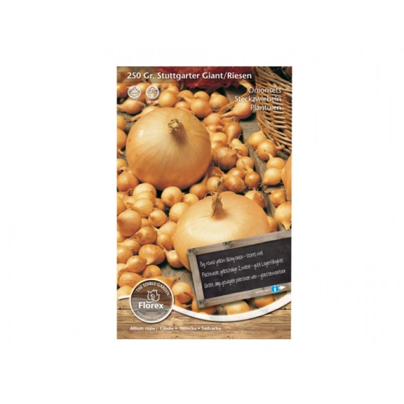 Uien s.STUTTGARTER GIANT/RIESEN 250g/geel/FL