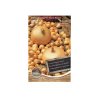 Oignons s.STUTTGARTER GIANT/RIESEN 250g/sac/FL