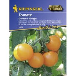 Tomat Goldene Königin