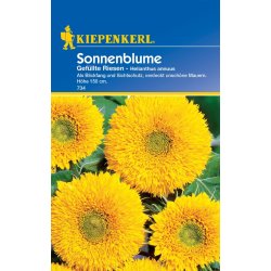 Zonnebloem Gefüllte Riesen