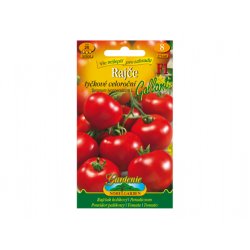 Staking Tomato GALLANT F1