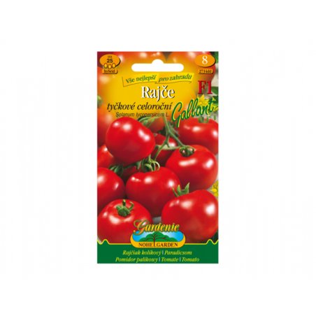 Tomate à tuteurer GALLANT F1