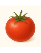 Tomates