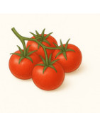 Busch-Tomaten
