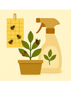 Protection des plantes