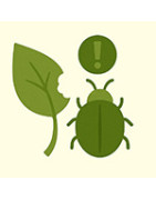 Ochrana rastlín proti škodcom – prípravky, odpudzovače a nástrahy