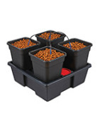 Wilma Small hydroponische Systeme von Nutriculture