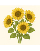 Zonnebloem