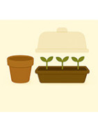 Semis, pots et plantation