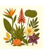 Ornamental plants