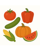 Насіння плодових овочів
