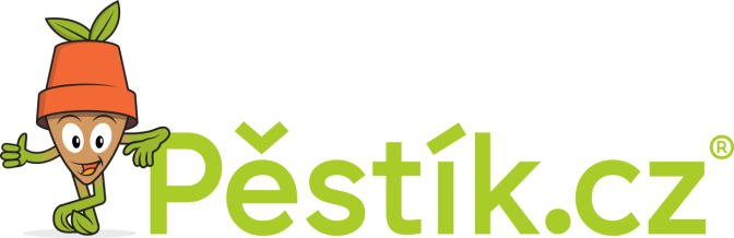 Pěstík