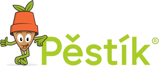 Pěstík